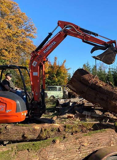 Home HOme Level2 Logging 1